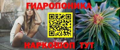 2c-b Гусиноозёрск