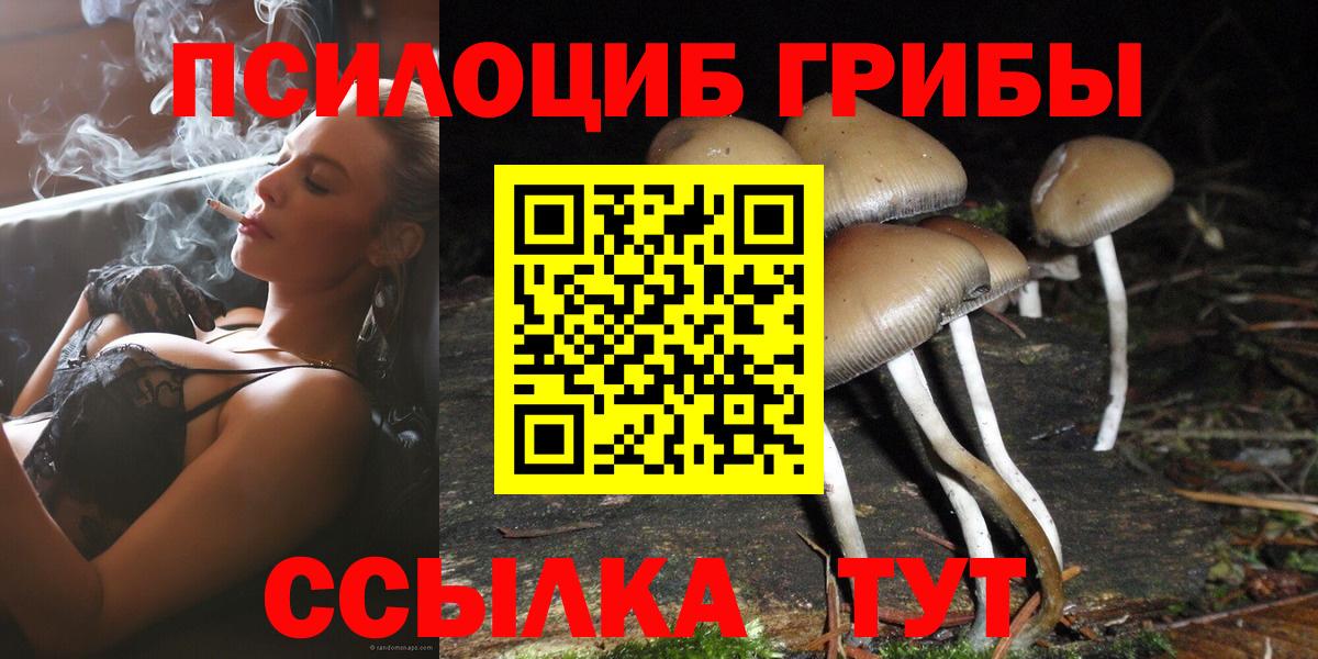 Псилоцибиновые грибы GOLDEN TEACHER Муром