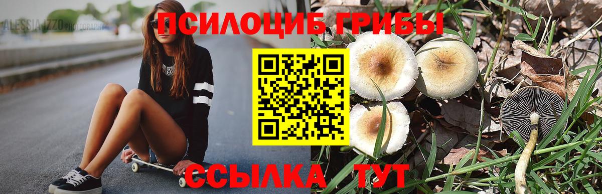 Галлюциногенные грибы Psilocybine cubensis  наркошоп  Муром  Вход с VPN 